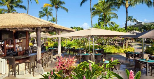 white patio umbrella near green-leafed plant