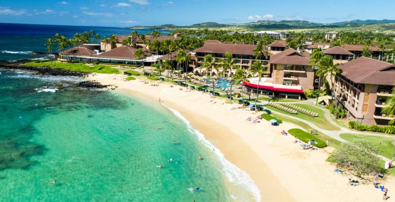 birds eye photography of shoreline