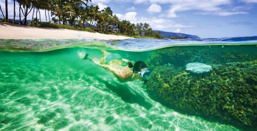 woman scuba diving underwater