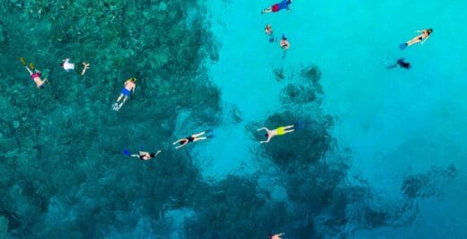 bird's-eye-view photo of people swimming on body of water