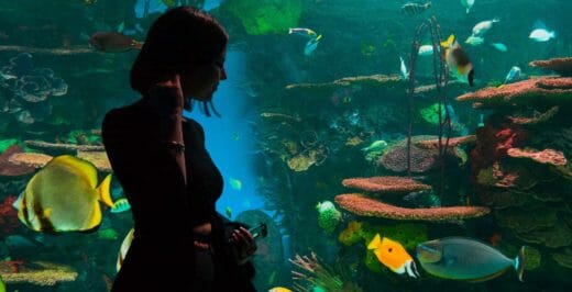 woman standing near large aquarium