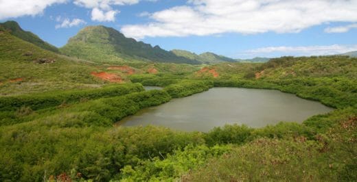 lake surrounded with green pastures under white clouds during daytime