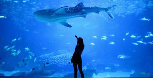 woman standing on beside aquarium