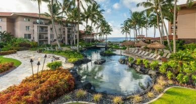 lounges beside small body of water during daytime
